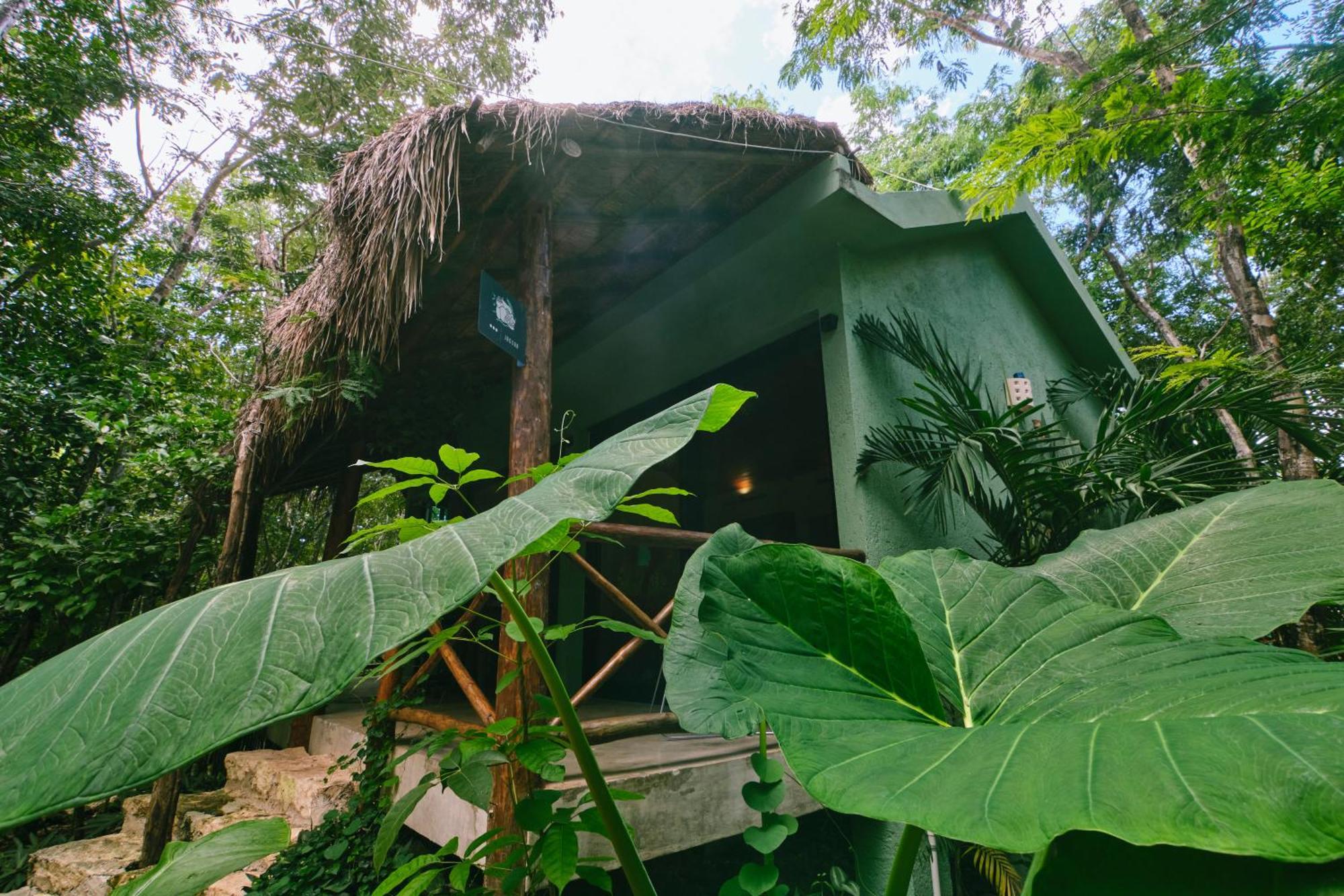 Villas Zamna - Jungle Villas Cozumel Ngoại thất bức ảnh