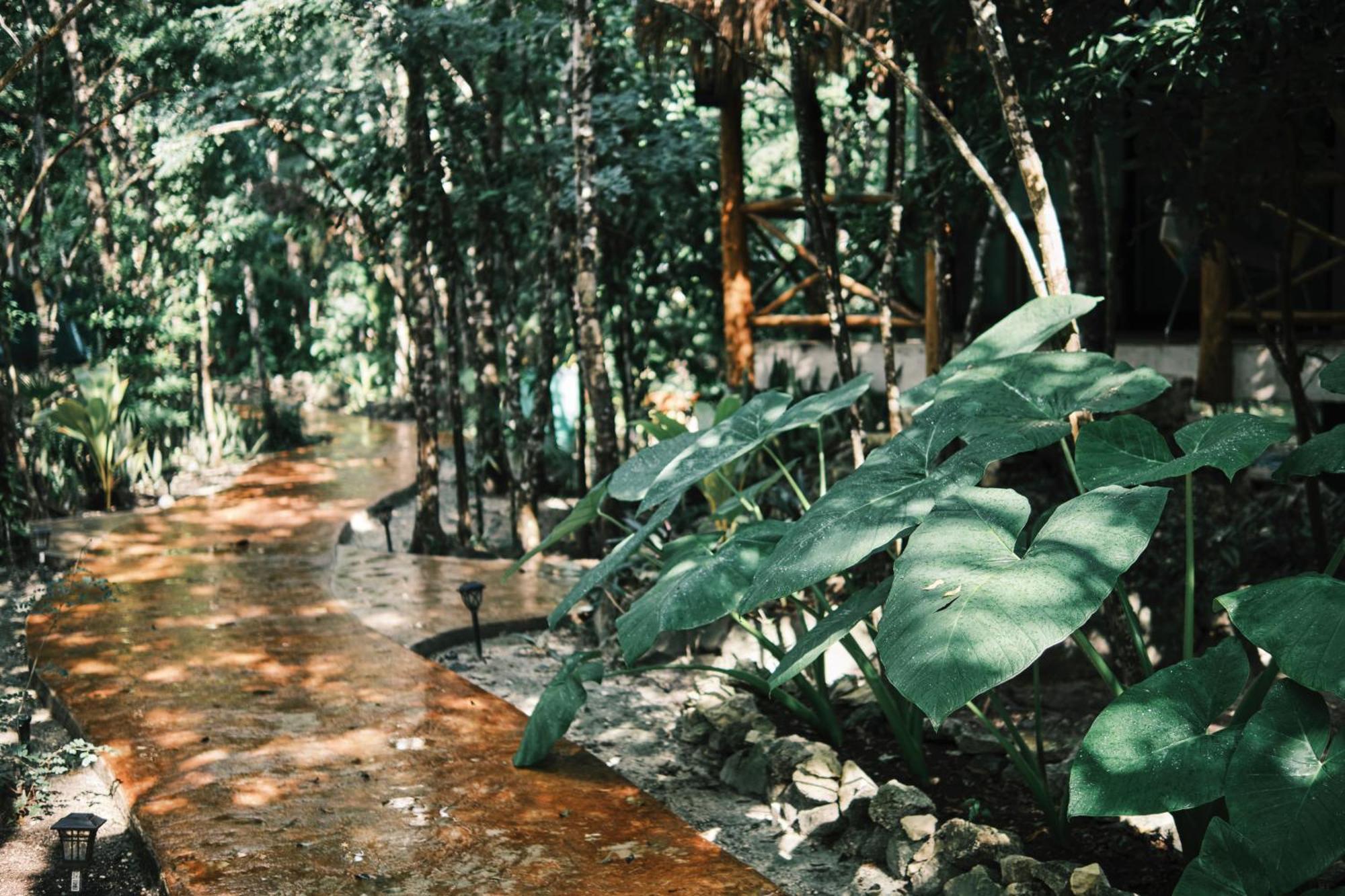 Villas Zamna - Jungle Villas Cozumel Ngoại thất bức ảnh