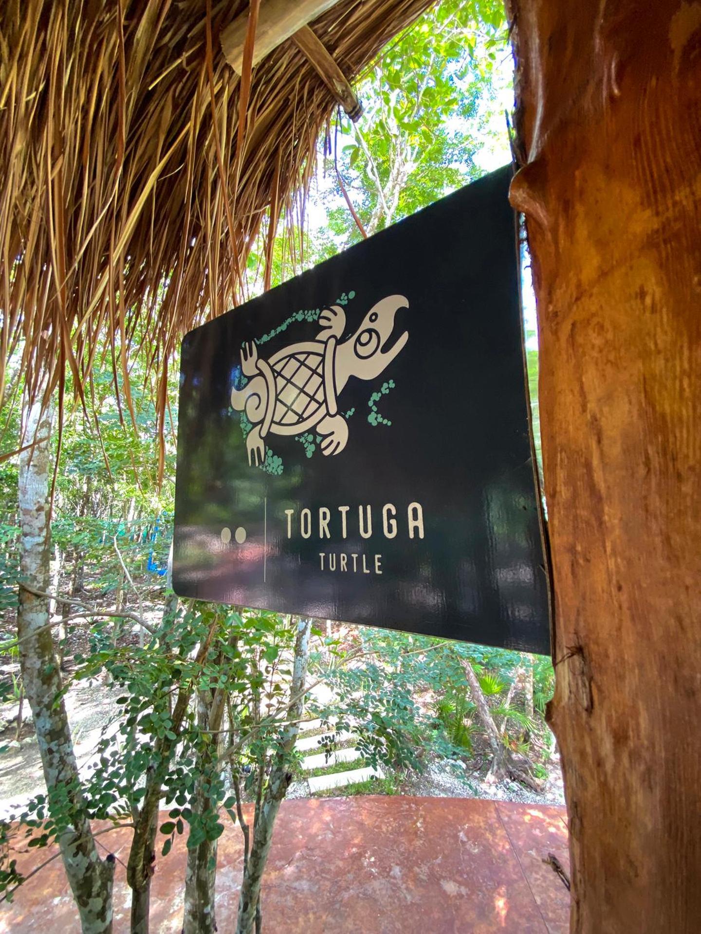 Villas Zamna - Jungle Villas Cozumel Ngoại thất bức ảnh
