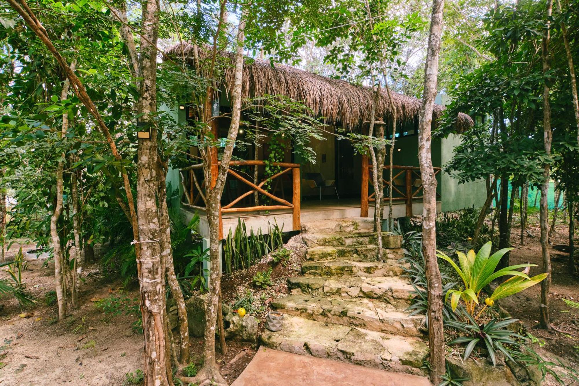 Villas Zamna - Jungle Villas Cozumel Ngoại thất bức ảnh