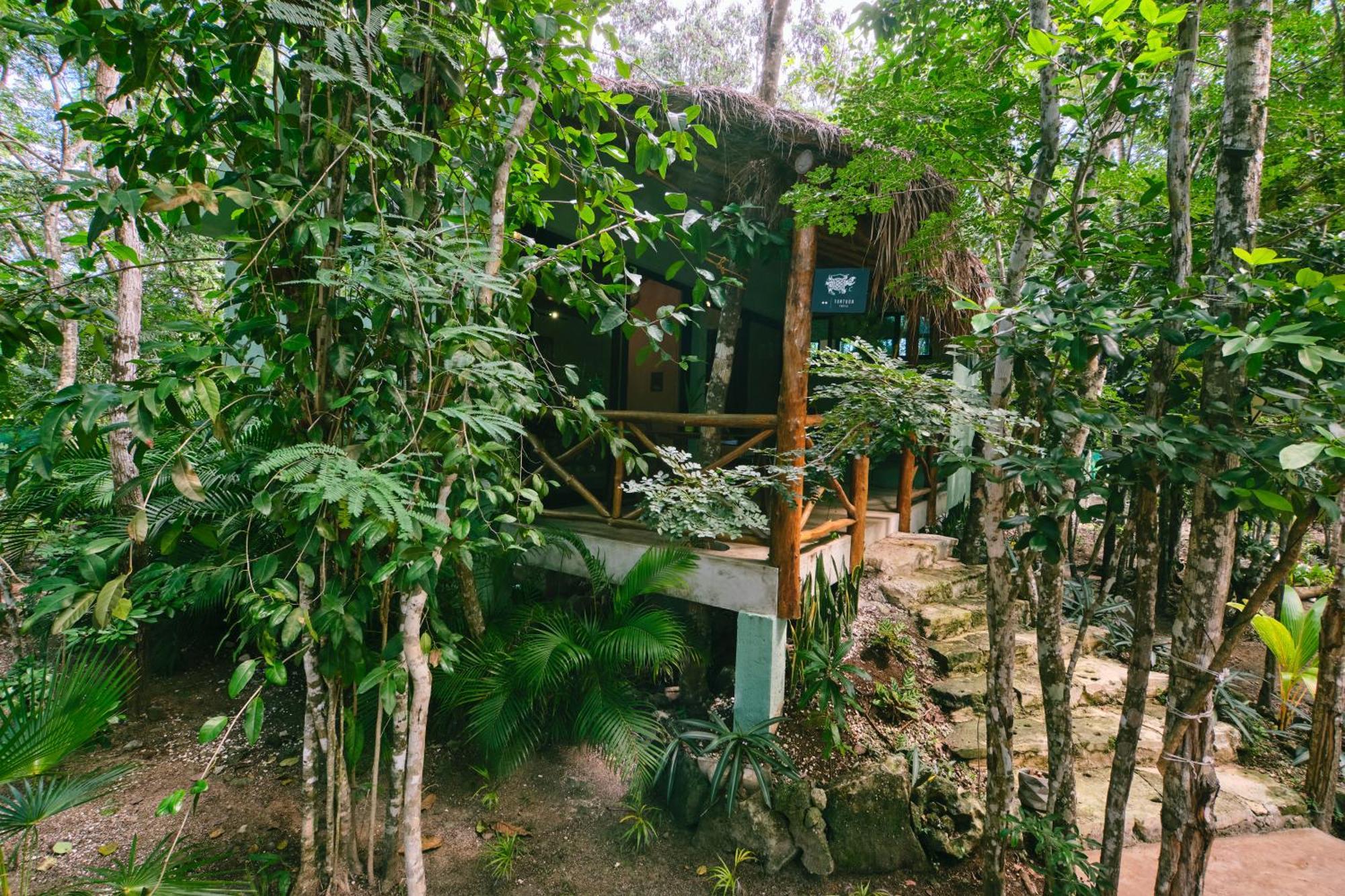 Villas Zamna - Jungle Villas Cozumel Ngoại thất bức ảnh