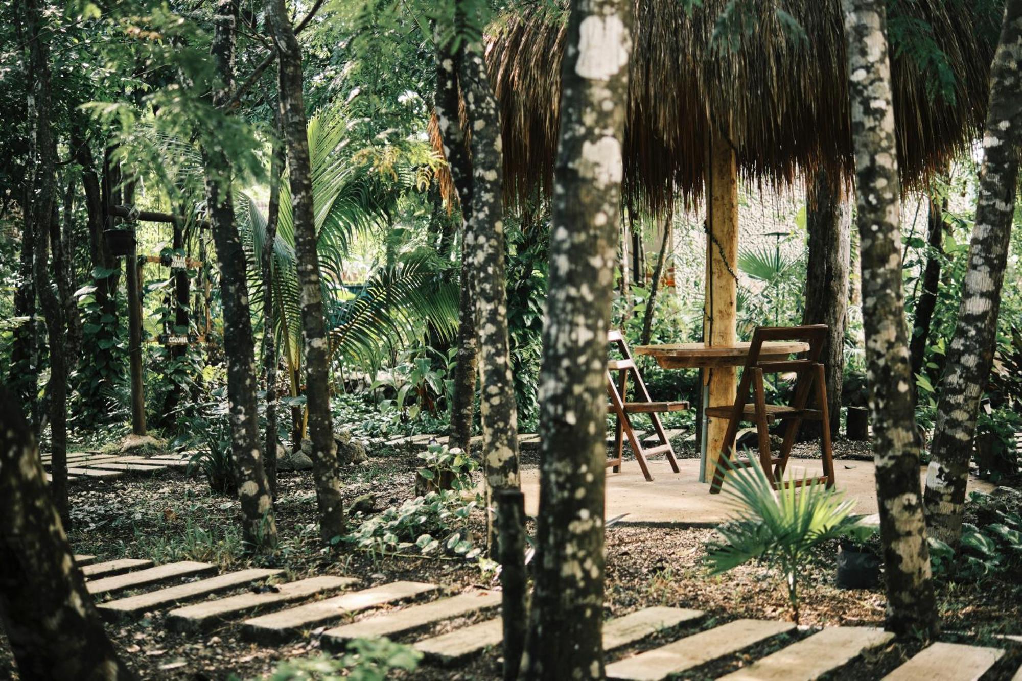 Villas Zamna - Jungle Villas Cozumel Ngoại thất bức ảnh