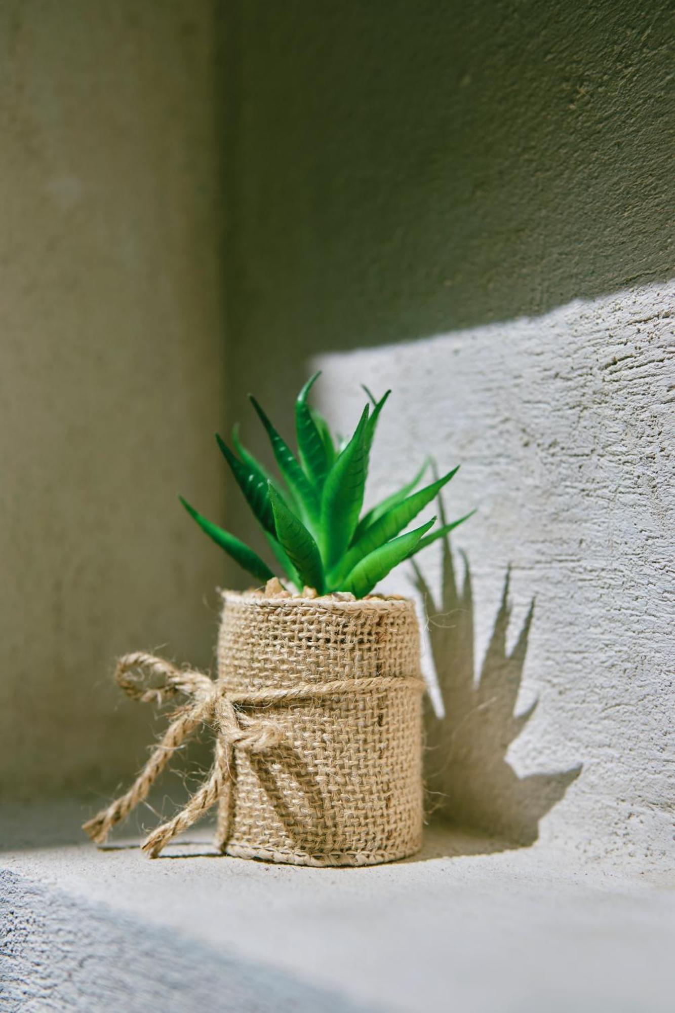 Villas Zamna - Jungle Villas Cozumel Ngoại thất bức ảnh