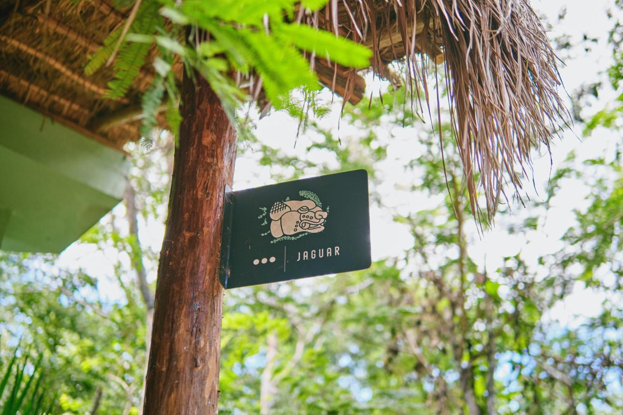 Villas Zamna - Jungle Villas Cozumel Ngoại thất bức ảnh