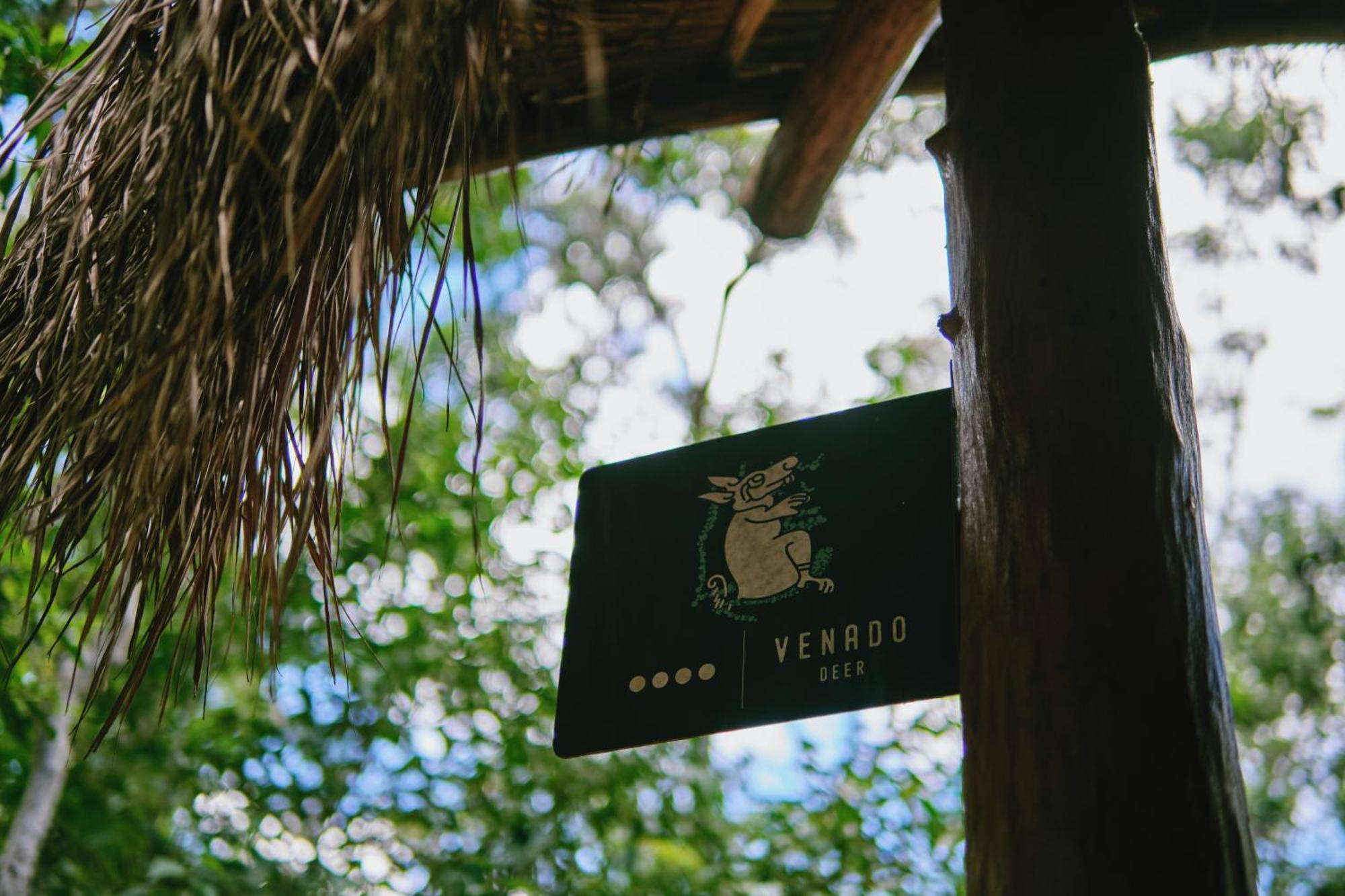 Villas Zamna - Jungle Villas Cozumel Ngoại thất bức ảnh